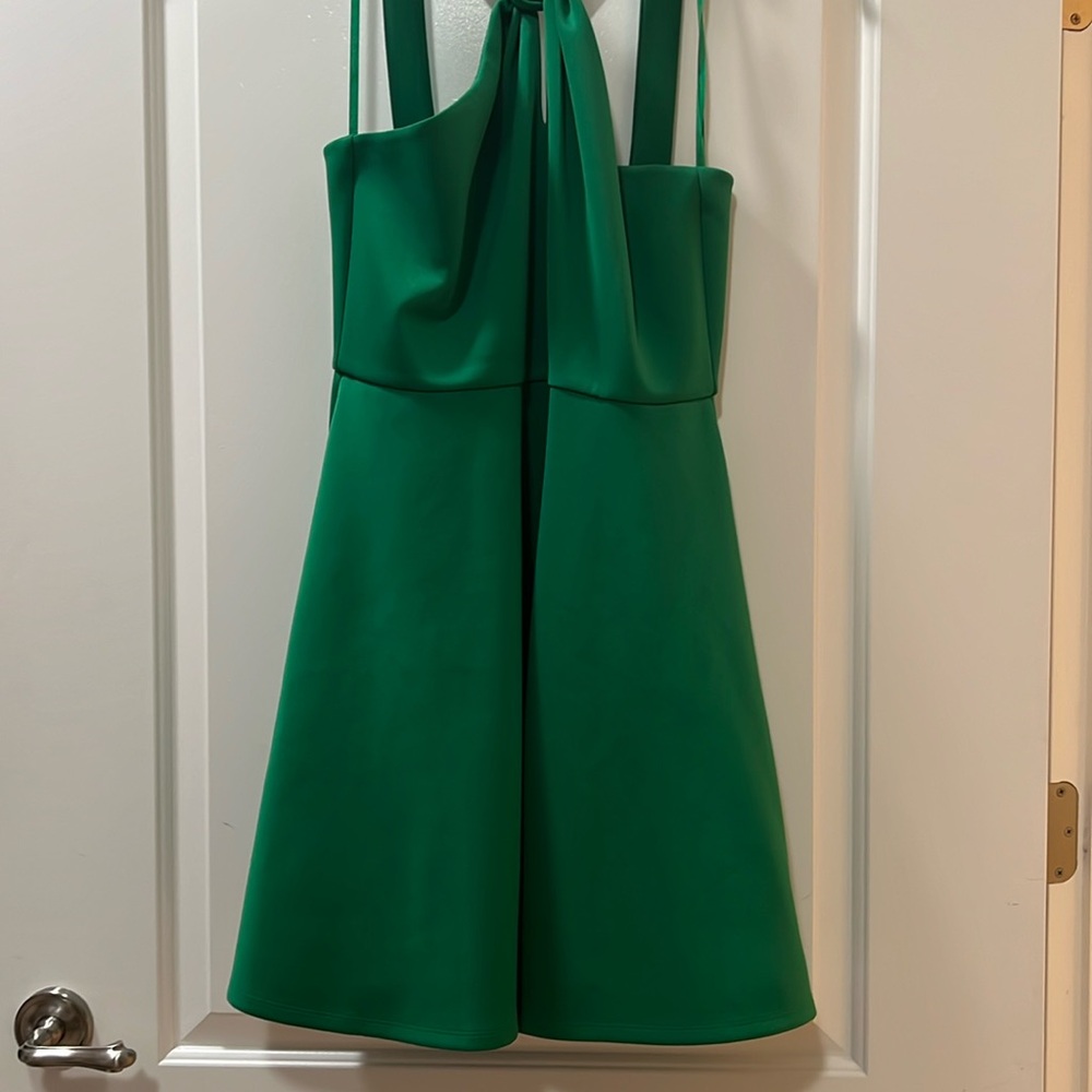 Ted Baker Skater Dress